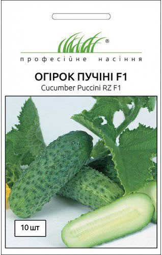 Насіння огірка Пуччіні F1 10 шт Rijk Zwaan