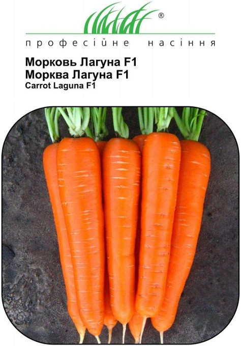 Насіння Моркви 0,5 г. сорт Лагуна F1