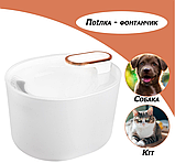 Поїльник для тварин кота та собаки, фото 5