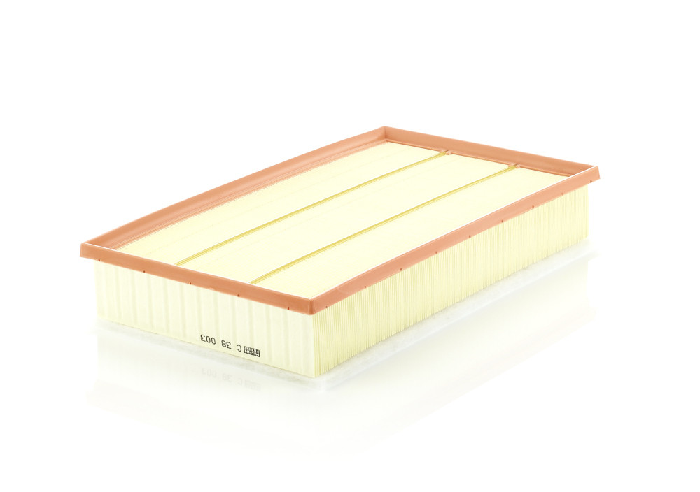 Повітряний фільтр, C 38 003 ( вир-во MANN ), фото 1