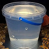 Гель для свічок Чародійка, фото 3