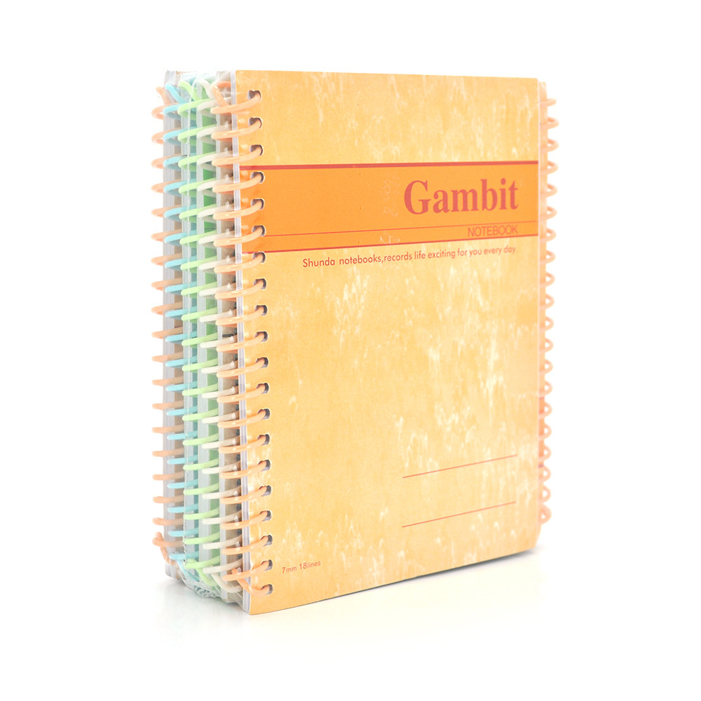 Планер-ежедневник на пружине А6-60 для организации записей и ...