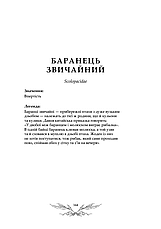 Книга «Орнітографія. Ілюстрований довідник із пташиної символіки та легенд». Автор - Джессіка Ру, фото 3