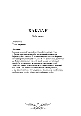 Книга «Орнітографія. Ілюстрований довідник із пташиної символіки та легенд». Автор - Джессіка Ру, фото 5