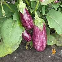 Баклажан Ріко F1 Lark Seeds 5 насінин
