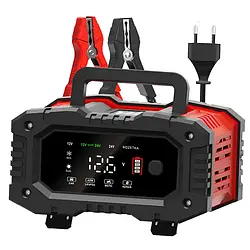 Зарядний пристрій для акб Foxsur FPT-200 (12V 20А - 24V 10A)