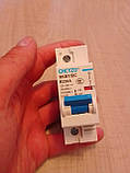 Автоматичний вимикач DC 250 амперів 1Р для акб і панелей, фото 3
