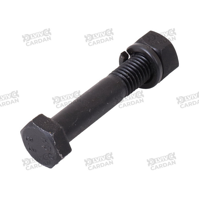 Зрізний болт для муфти: діаметр - 10 мм, довжина - 55 мм (BC10-55)