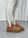 Уггі жіночі замшеві пісочного кольору короткі, фото 3