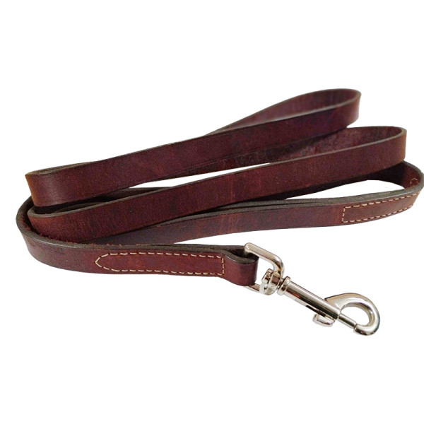 Шкіряний повідець для собак, 1.6смХ1.8м Coastal Circle-T Dog Leash (01065_MAH06)