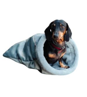 Плюшевий будиночок для собак і котів Happy Peppy Peek-a-boo (Хеппі Пеппі)