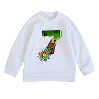 Свитшот детский с принтом Minecraft 7 Майнкрафт