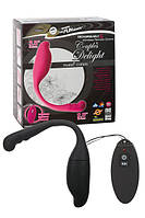 Вібромасажер NMC — Couples Delight Remote Control Vib