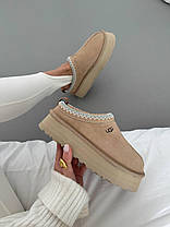 Зимові Жіночі Черевики UGG Tasman Platform Beige / УГГ Тасман Платформ Бежеві, фото 6