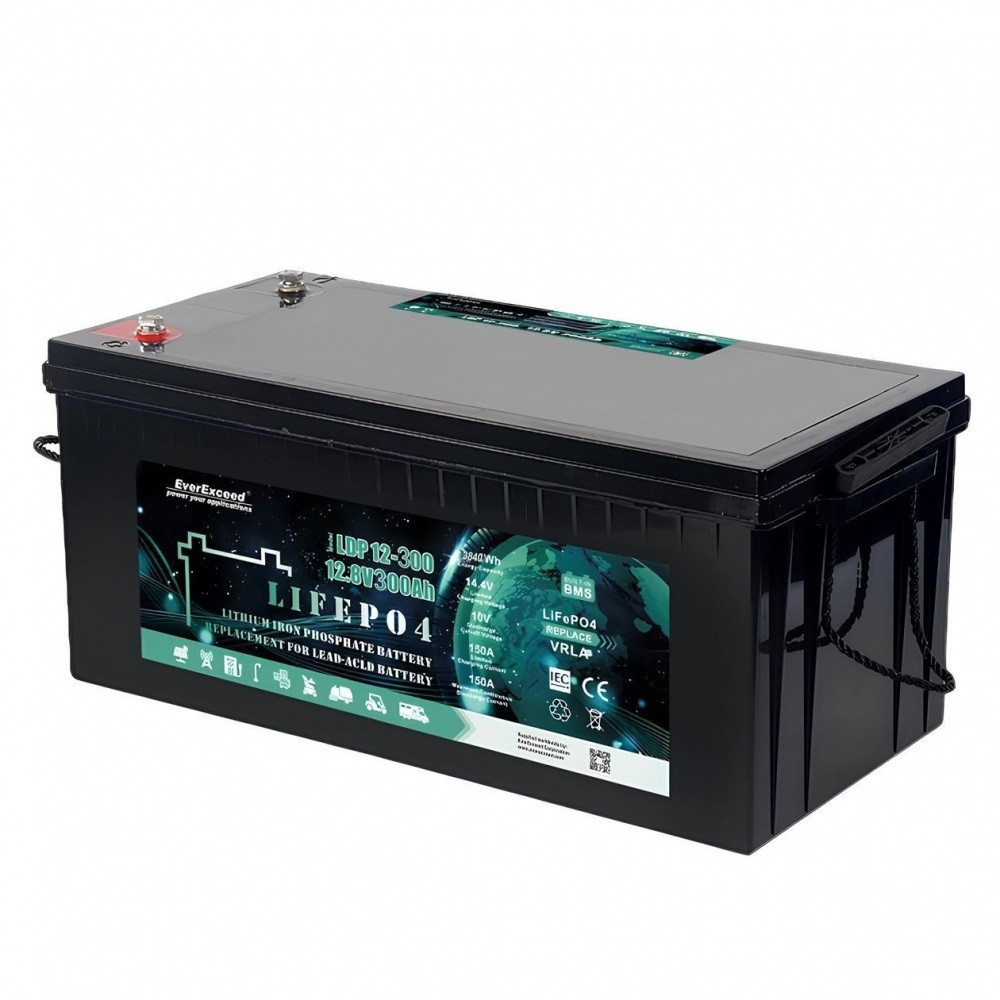 Акумуляторна батарея EverExceed LiFePO4 LDP12300 12 V 300 Ah, фото 1