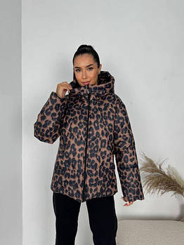 Куртки та плащі