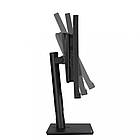 Монітор Asus ProArt PA348CGV, фото 6