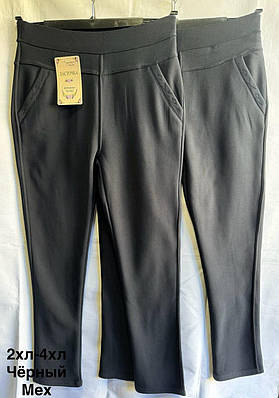 Жіночі штани на хутрі 2,3,4 хл