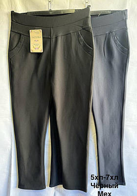Жіночі штани батал 5,6,7 хл на хутрі