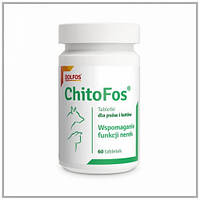 ChitoFos DOLFOS 60 табл. Поддержка функции почек.