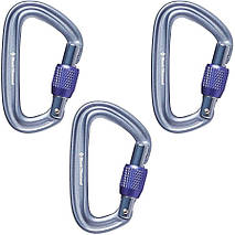 Набір карабінів Black Diamond LitetForge Screwgate 3 Pack (Grey), фото 3