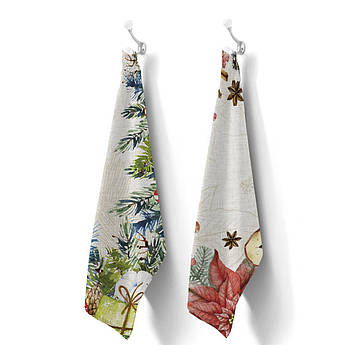 Набір із 2-х кухонних бавовняних рушників із малюнком С-Jolli Centrotex