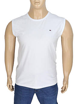 Безрукавка чоловіча великого розміру Zinzolin 3088 White