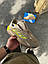Чоловічі кросівки Adidas Streetball 2.0 camel (бежеві) модні спортивні кросівки 3055-6 Адідас vkross, фото 4