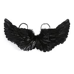 Крила з пір'я, чорні