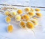 Ворсянка натуральна вибілена, фото 3