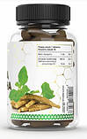 Екстракт кореня ашваганди GOLD LABS Ashwagandha 9% Extract 60 таблеток, фото 3
