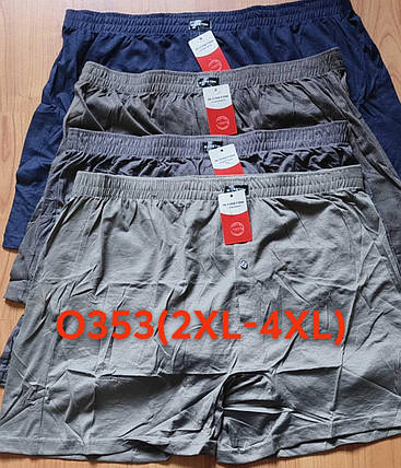 Чоловічі шорти (сімейні труси 2XL,3XL,4XL) Марка «CASTOM» арт.O353, фото 1