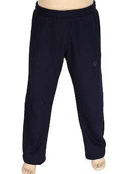 Чоловічі спортивні штани на флісі Dekons 1828 Lacivert