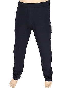 Спортивні чоловічі штани Maraton 2221103 Darkblue