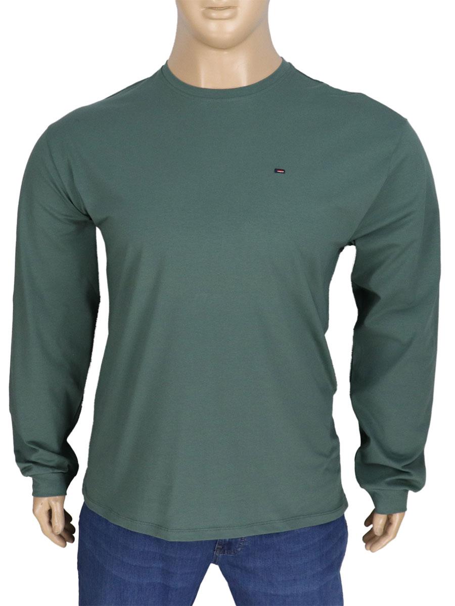 Турецький батник чоловічий Zinzolin 3551 Duck Green
