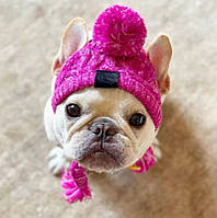 Шапка для собак, котов Beauty Pink, размер S, розовый