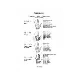 Книга Читання дитячої долоні. Енн Хассетт ( Book ), фото 2