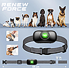 Електронашийник для тренування собак RENEW FORCE 1000м + пульт дистанційного керування (Польща), фото 3