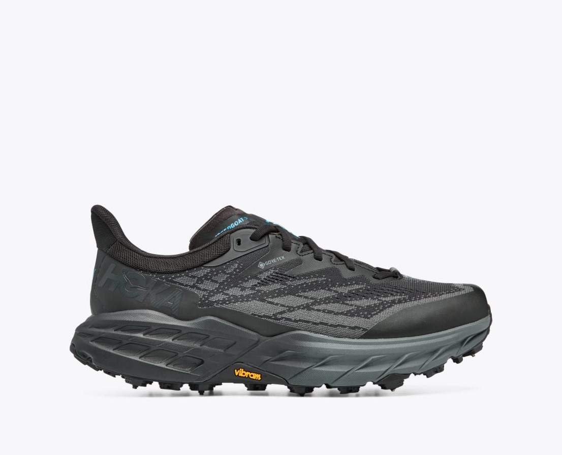 Кросівки для бігу чоловічі Hoka Speedgoat 5 GTX SPIKE 1133550 BBLC BLACK / BLACK