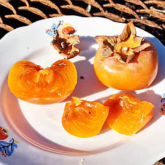 Саджанці хурми сорт Дар Софіївки 1 річні (напівупаковані)