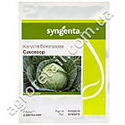 Капуста білокачанна Саксесор F1 поштучно Syngenta 1 шт, фото 3