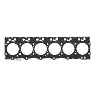 2830704 Прокладка головки блока (1.25) TC5080/T7060/Puma210/SPX3320