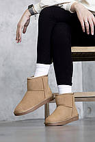 Зимові Жіночі Черевики UGG Classic Mini Brown / УГГ Класик Міні Коричневі, фото 4
