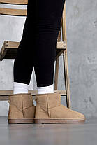Зимові Жіночі Черевики UGG Classic Mini Brown / УГГ Класик Міні Коричневі, фото 2