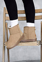 Зимові Жіночі Черевики UGG Classic Mini Brown / УГГ Класик Міні Коричневі, фото 5