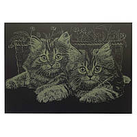 Гравюра А4 "Коти" ГрА4-13з економ варіант в пакеті 29,7х21 см