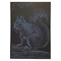Гравюра А4 "Білка" ГрА4-1с економ варіант в пакеті 29,7х21 см