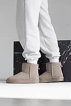 Зимові Жіночі Черевики UGG Classic Mini Beige / УГГ Класик Міні Бежеві, фото 4