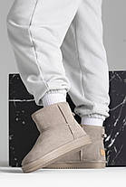 Зимові Жіночі Черевики UGG Classic Mini Beige / УГГ Класик Міні Бежеві, фото 3