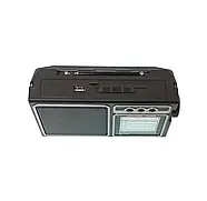 Переносний радіоприймач із сонячною панеллю та Bluetooth Golon RX-BT319S Портативне радіо на природу, фото 7